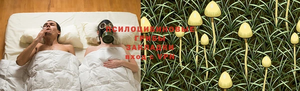 MESCALINE Белокуриха