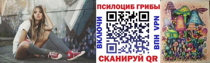 Галлюциногенные грибы прущие грибы  МЕГА как зайти  Вышний Волочёк 